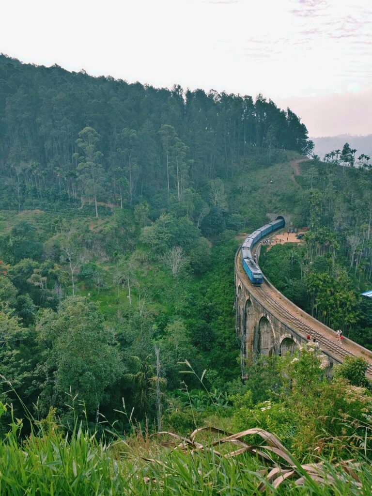 train, bridge, nature, sri lanka, landscape, to travel, sri lanka, sri lanka, sri lanka, sri lanka, sri lanka